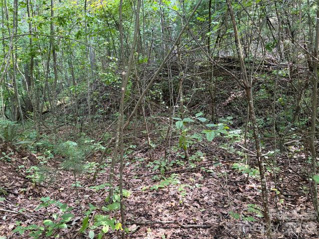 00 Early Frost Place 98, Waynesville, NC 28785