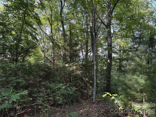 00 Early Frost Place 98, Waynesville, NC 28785