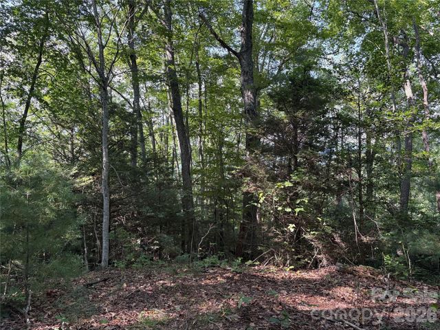 00 Early Frost Place 98, Waynesville, NC 28785