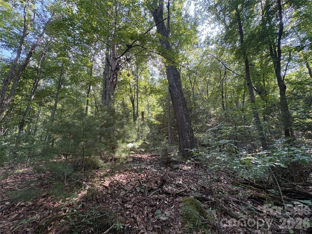 00 Early Frost Place 98, Waynesville, NC 28785