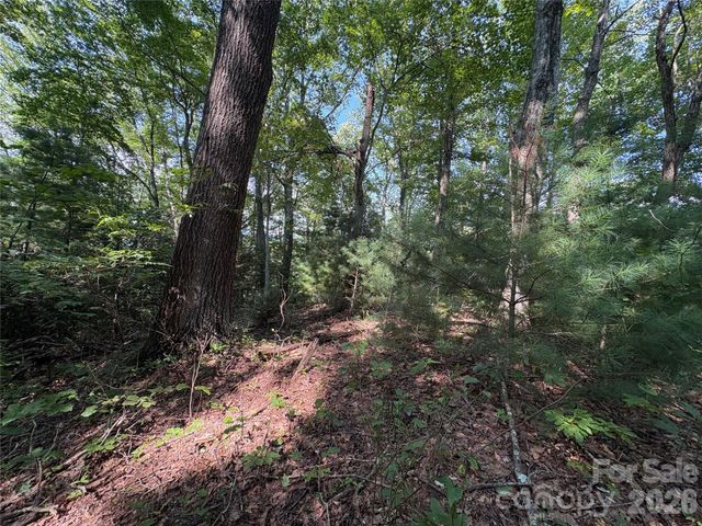 00 Early Frost Place 98, Waynesville, NC 28785