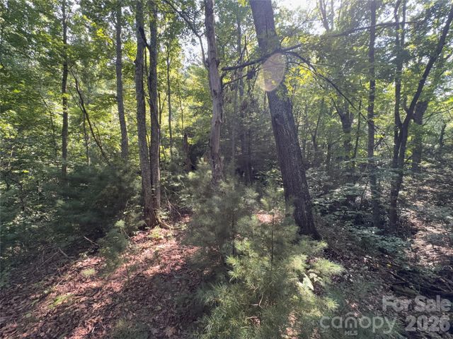 00 Early Frost Place 98, Waynesville, NC 28785