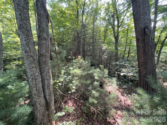 00 Early Frost Place 98, Waynesville, NC 28785