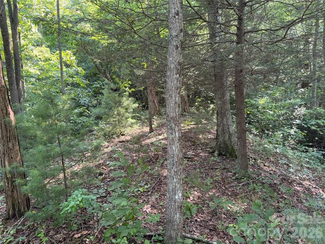 00 Early Frost Place 98, Waynesville, NC 28785