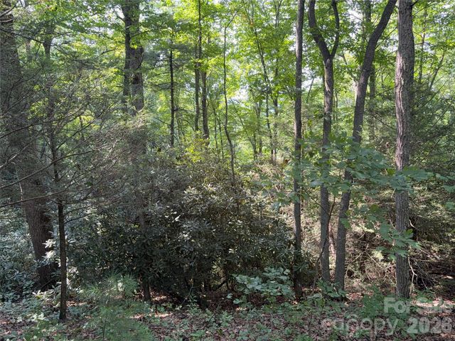 00 Early Frost Place 98, Waynesville, NC 28785