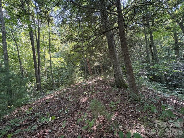 00 Early Frost Place 98, Waynesville, NC 28785
