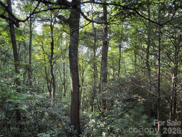 00 Early Frost Place 98, Waynesville, NC 28785