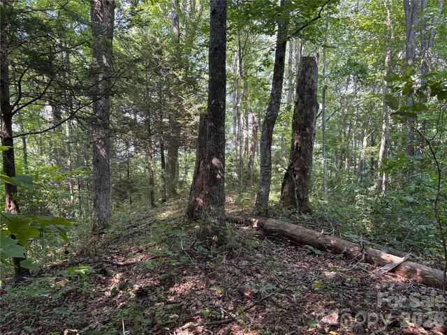 00 Early Frost Place 98, Waynesville, NC 28785