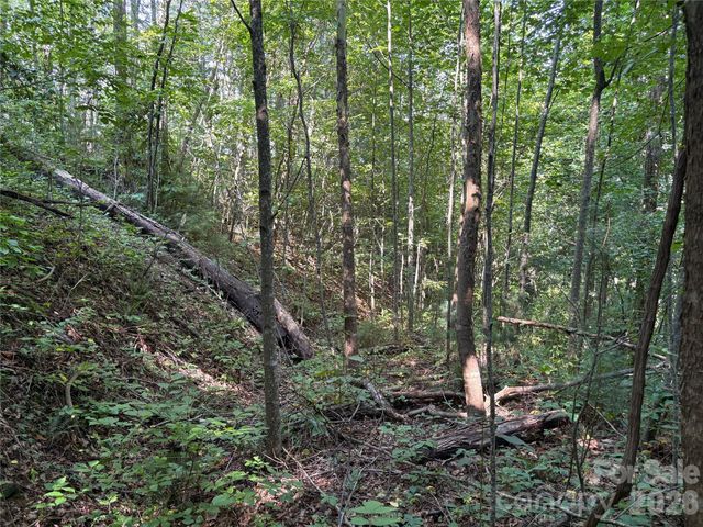 00 Early Frost Place 98, Waynesville, NC 28785