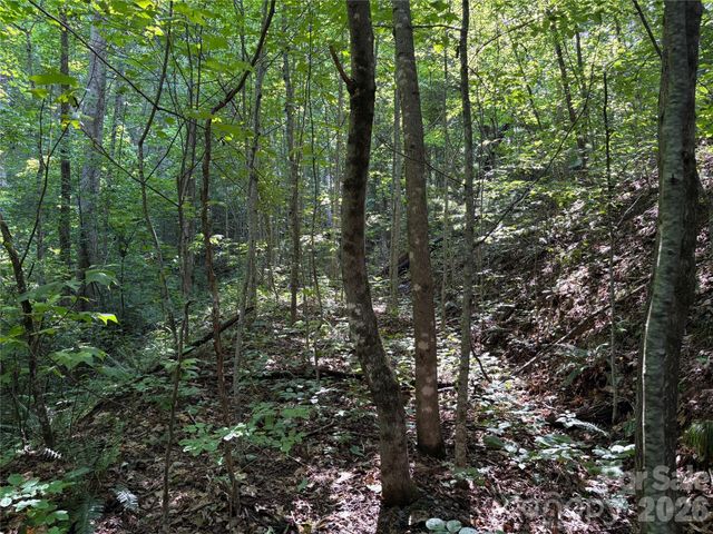 00 Early Frost Place 98, Waynesville, NC 28785