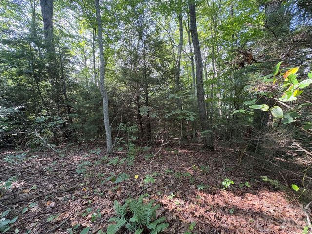 00 Early Frost Place 98, Waynesville, NC 28785