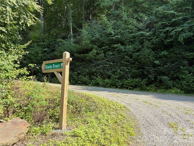 00 Early Frost Place 98, Waynesville, NC 28785
