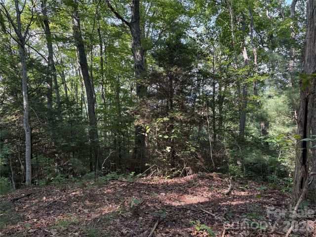 00 Early Frost Place 98, Waynesville, NC 28785