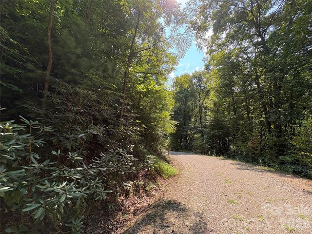 00 Early Frost Place 98, Waynesville, NC 28785