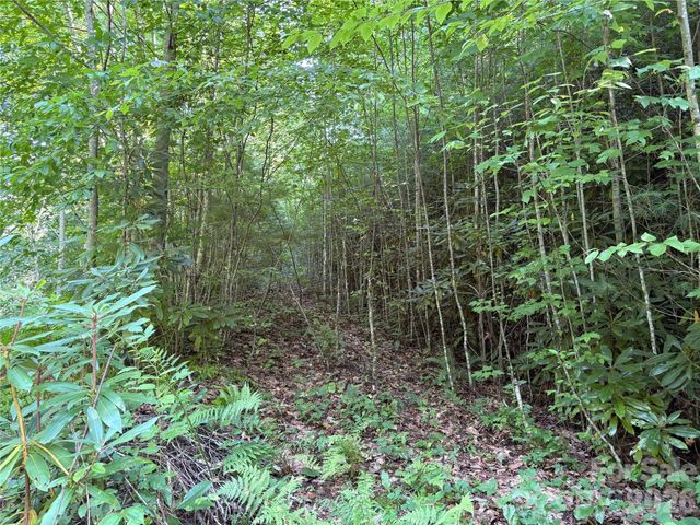 00 Early Frost Place 98, Waynesville, NC 28785