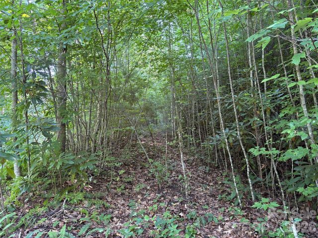 00 Early Frost Place 98, Waynesville, NC 28785