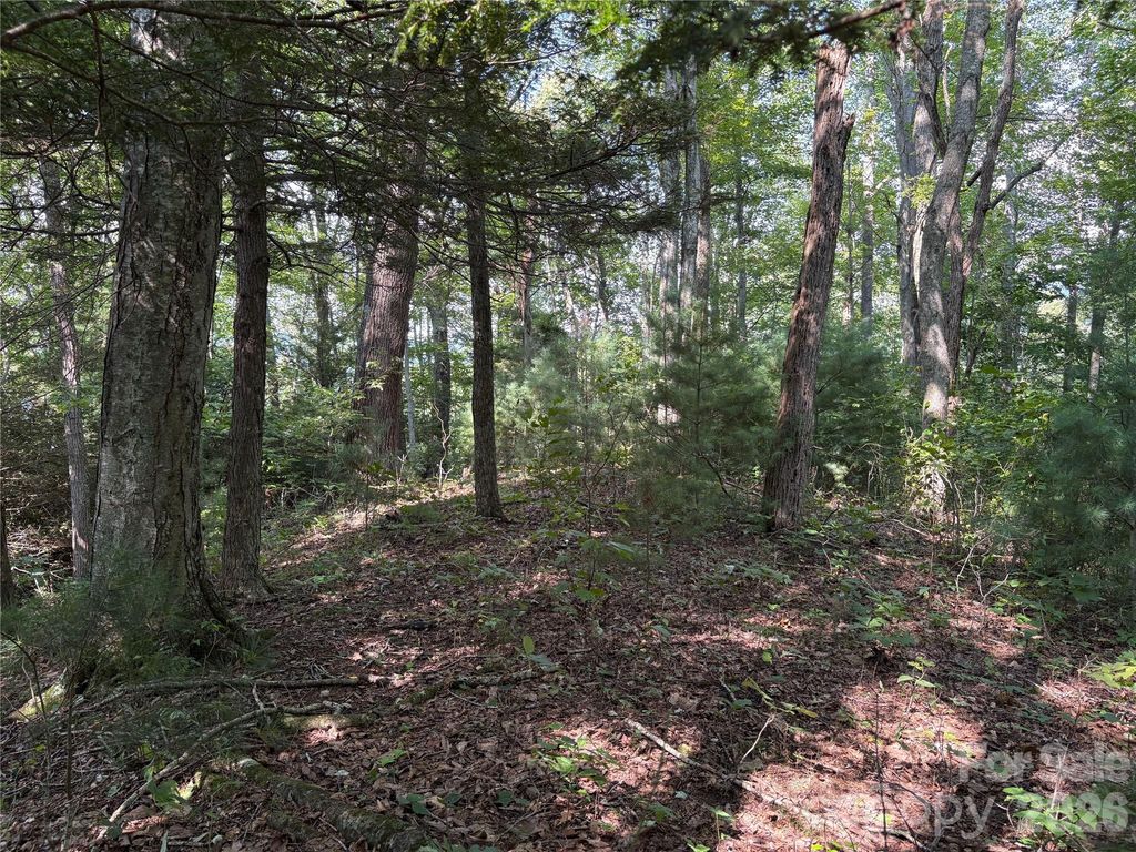 00 Early Frost Place 98, Waynesville, NC 28785