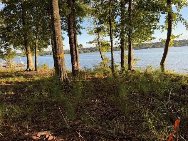 1130 Dockside Drive, Buckhead, GA 30625