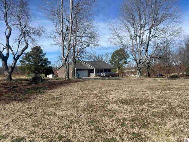 4697 State Route 384, Mayfield, KY 42066