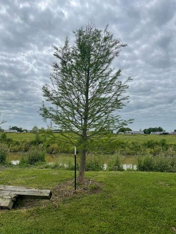 172 Crest Road, Raceland, LA 70394