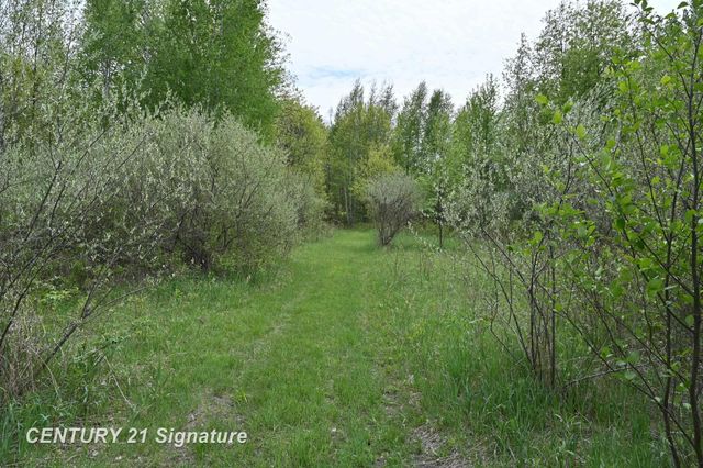 150 E Winegars Road, Gladwin, MI 48624
