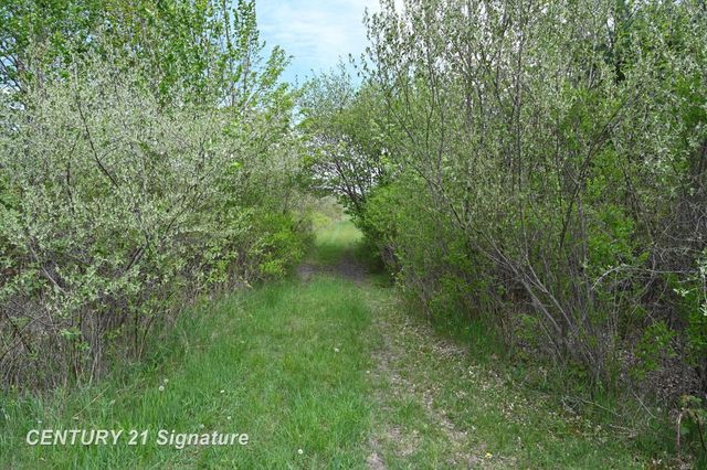 150 E Winegars Road, Gladwin, MI 48624