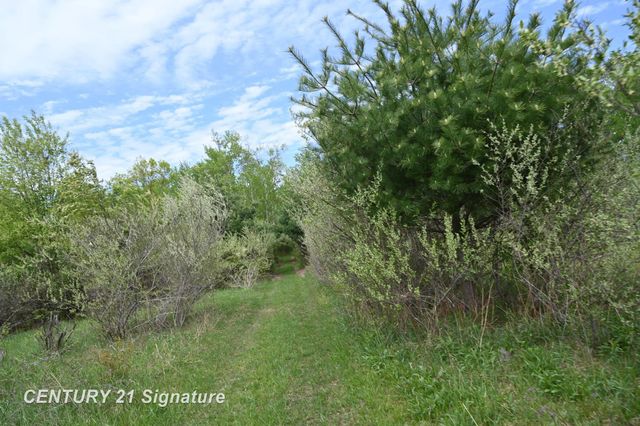 150 E Winegars Road, Gladwin, MI 48624