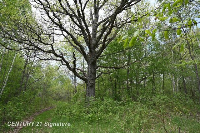 150 E Winegars Road, Gladwin, MI 48624