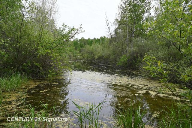150 E Winegars Road, Gladwin, MI 48624