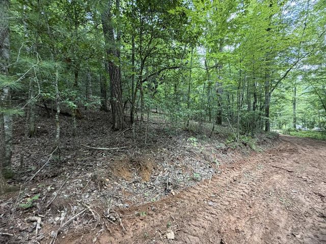 5.85 AC Emory Shield Road, Murphy, NC 28906