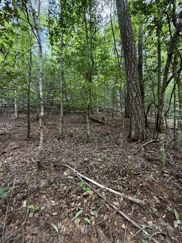 5.85 AC Emory Shield Road, Murphy, NC 28906