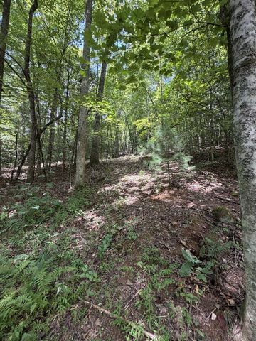5.85 AC Emory Shield Road, Murphy, NC 28906