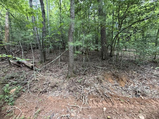 5.85 AC Emory Shield Road, Murphy, NC 28906