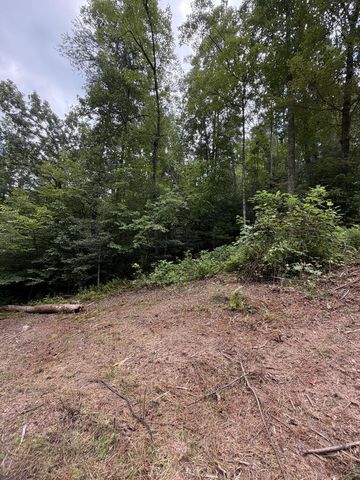5.85 AC Emory Shield Road, Murphy, NC 28906