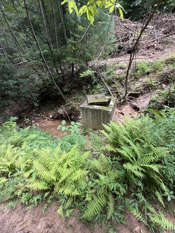 5.85 AC Emory Shield Road, Murphy, NC 28906
