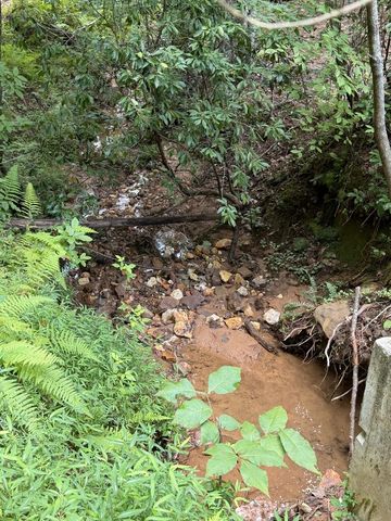 5.85 AC Emory Shield Road, Murphy, NC 28906