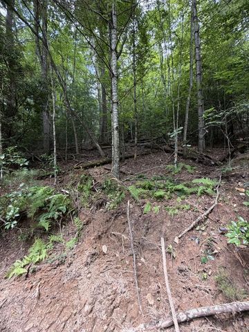 5.85 AC Emory Shield Road, Murphy, NC 28906