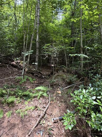 5.85 AC Emory Shield Road, Murphy, NC 28906