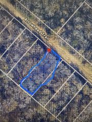 00 Arrowhead Trail, Livingston, TX 77351