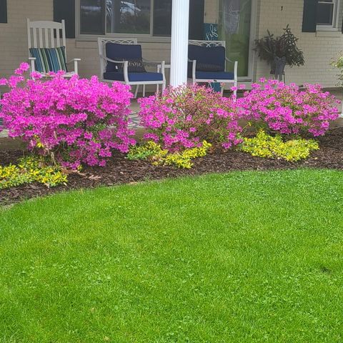 7030 N Maple Drive, Coloma, MI 49038