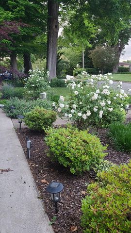 7030 N Maple Drive, Coloma, MI 49038