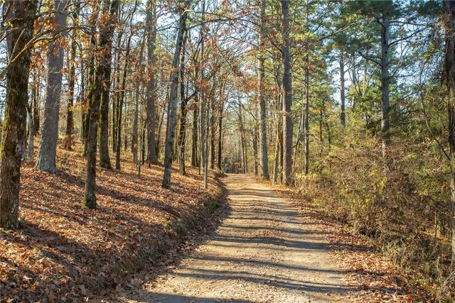 10780 South Point Lane, Dardanelle, AR 72834
