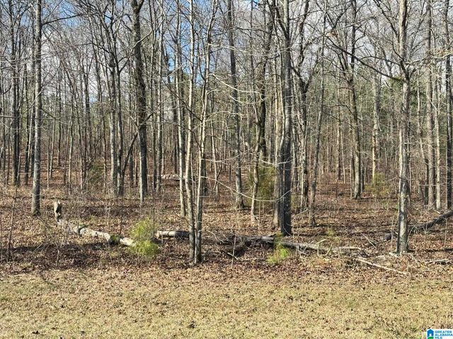 7533 COLONIAL TRACE CIRCLE, Bessemer, AL 35022