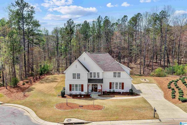 3378 RIVER BIRCH TRAIL, Chelsea, AL 35043