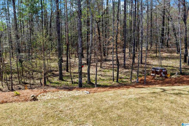 3378 RIVER BIRCH TRAIL, Chelsea, AL 35043