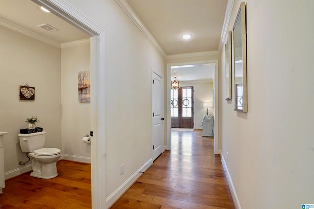 3378 RIVER BIRCH TRAIL, Chelsea, AL 35043