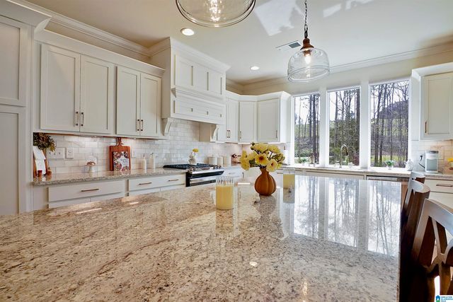 3378 RIVER BIRCH TRAIL, Chelsea, AL 35043