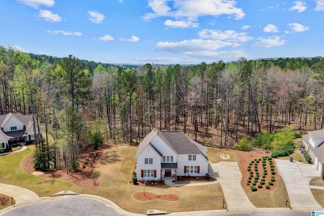 3378 RIVER BIRCH TRAIL, Chelsea, AL 35043