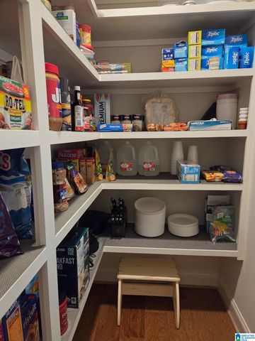 3378 RIVER BIRCH TRAIL, Chelsea, AL 35043