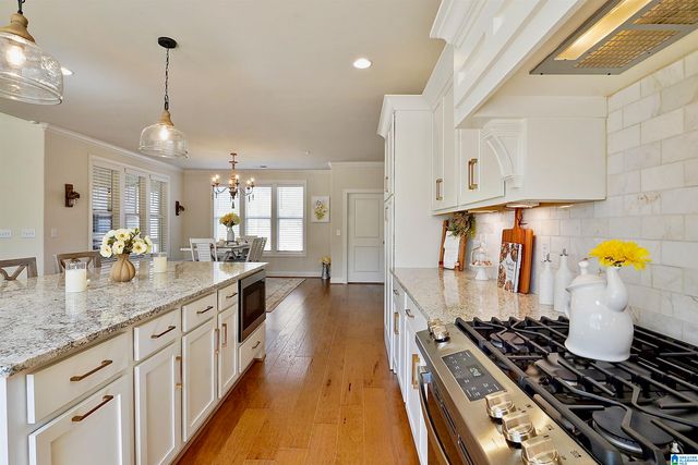 3378 RIVER BIRCH TRAIL, Chelsea, AL 35043